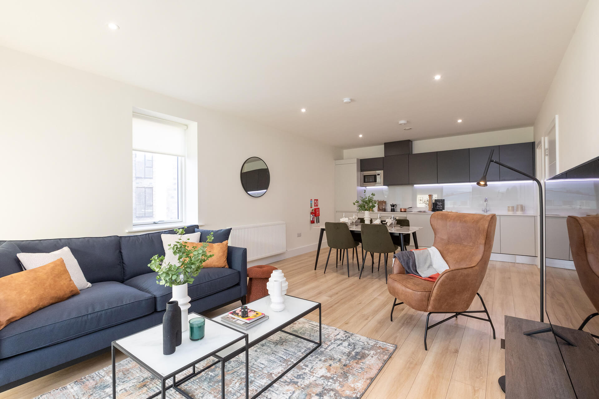 Dublin apartment living room
