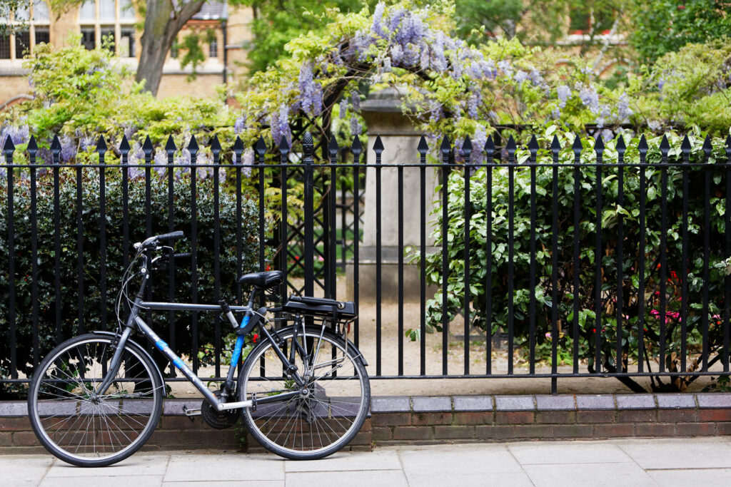 bicycle and park near Canto Court