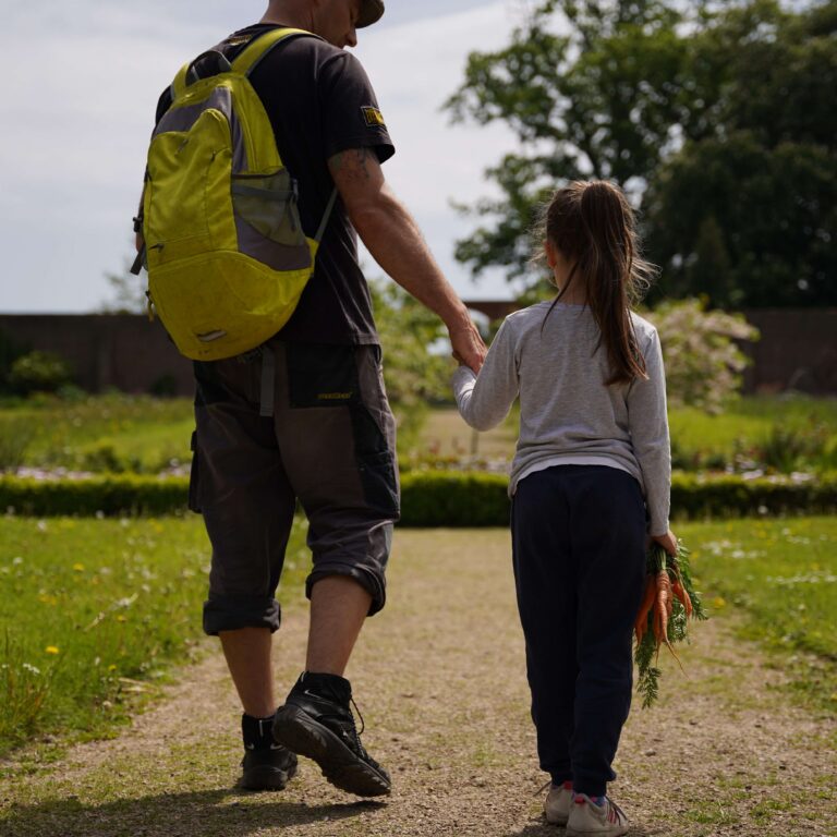 A parent and child walking hand in hand with their back to the camera