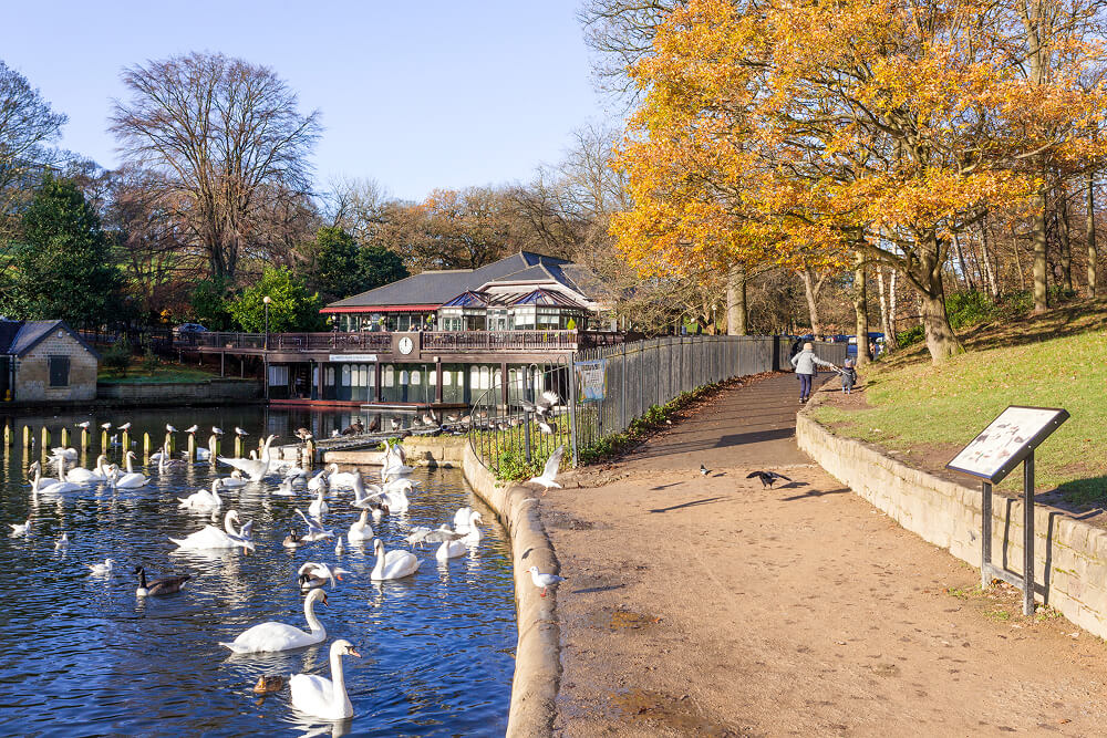 Roundhay Park in Leeds. On the water there are ducks and swans. There is a footpath leading off to the right.